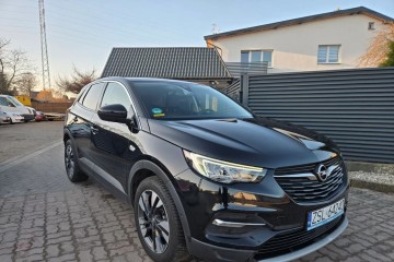 Świeżo sprowadzony/ Zarejestrowany.