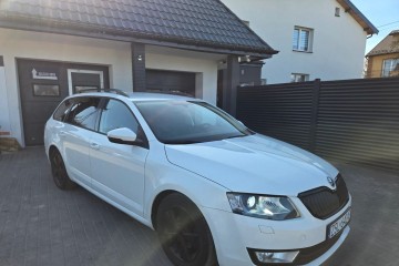 Świeżo sprowadzony/ Zarejestrowany.